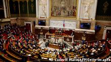 Парламент Франции поддержал внесение в конституцию поправки о климате