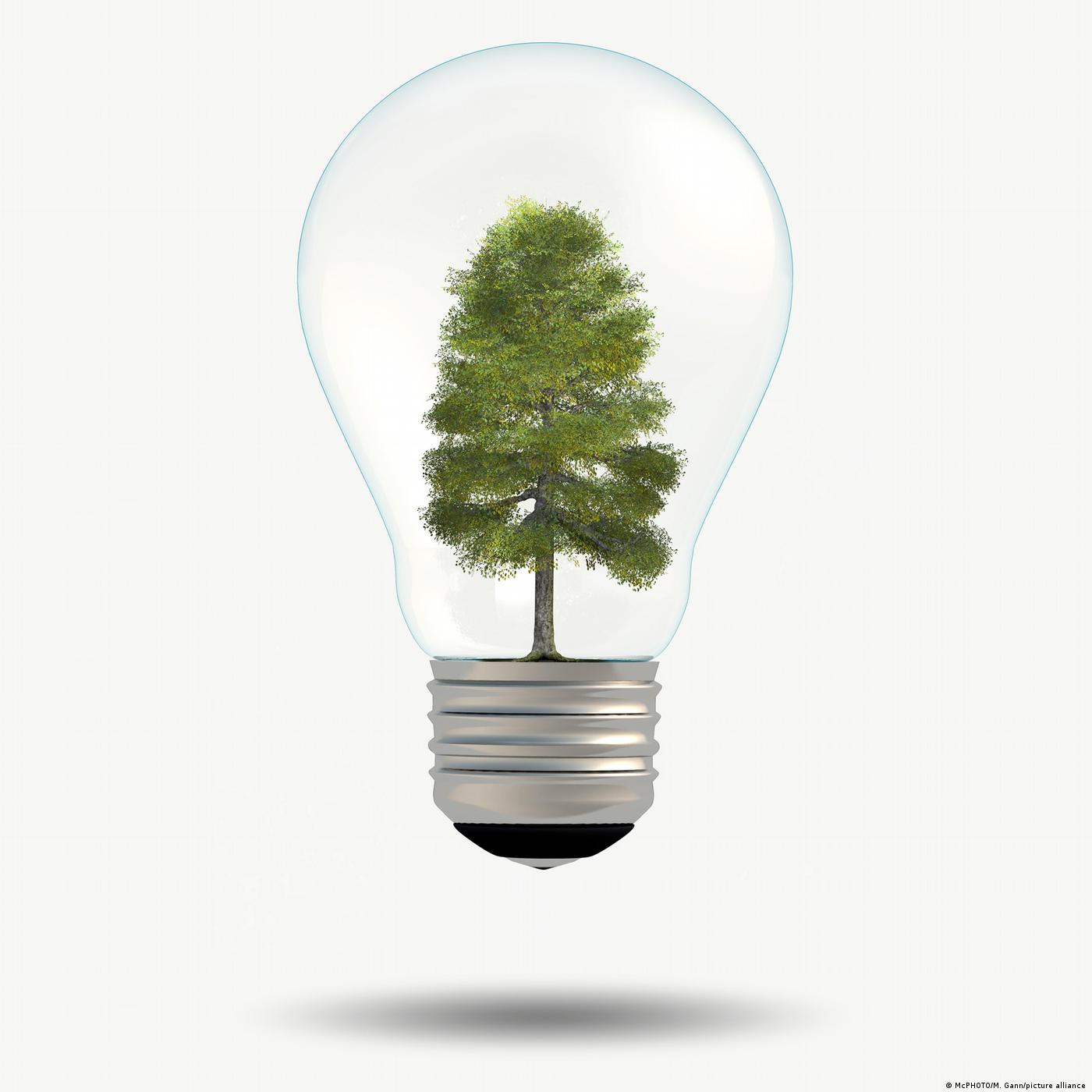 Living Planet: Unexpected ideas