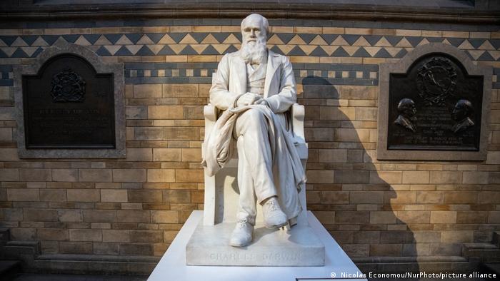 Eine Statue von Charles Darwin mit überschlagenen Beinen
