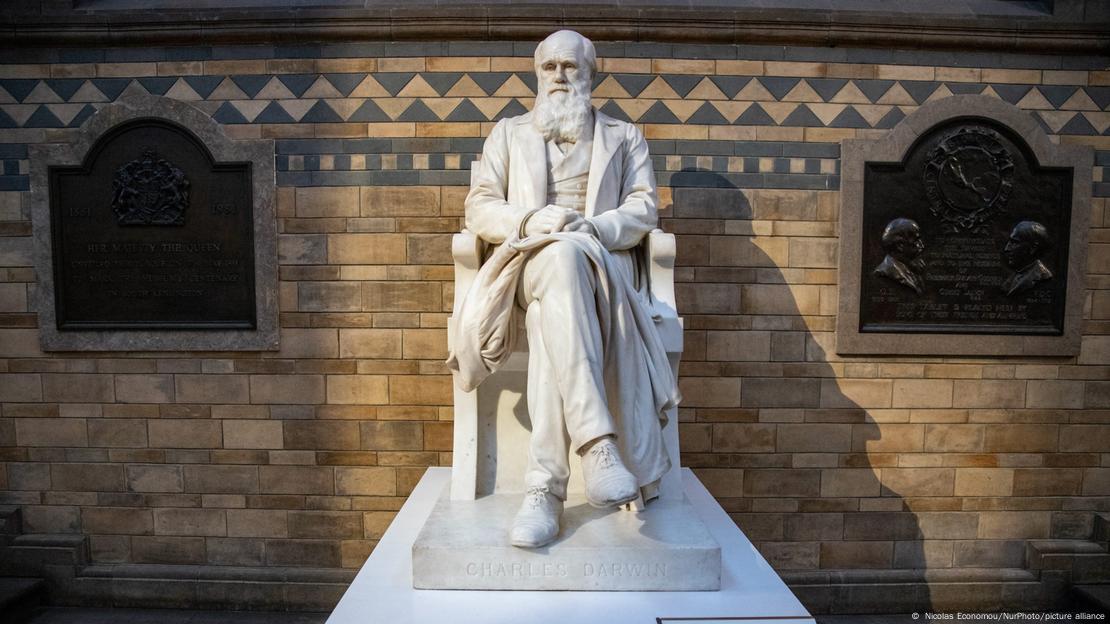 BG Charles Darwin | Abstammung des Menschen und die Selektion in Bezug auf das Geschlecht BG Charles Darwin | Abstammung des Menschen und die Selektion in Bezug auf das Geschlecht