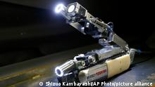 A robot developed by Toshiba Corp. is demonstrated at its laboratory in Yokohama, near Tokyo, Tuesday, June 30, 2015. As Japan struggles in the early stages of decades-long cleanup of the Fukushima nuclear crisis, Toshiba has developed the robot that raises its tail like a scorpion and collects data, and hopefully locate some of melted debris. The scorpion robot, which is 54 centimeters (21 inches) long when extended, has two cameras, LED lighting and a dosimeter, will be sent into the Unit 2 reactor in August to look. (AP Photo/Shizuo Kambayashi)