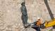 Estátua de Francisco Franco é removida em Melilla Estátua de Francisco Franco é removida em Melilla