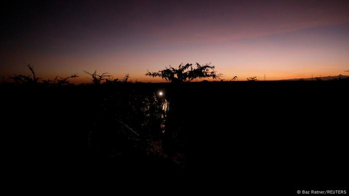 Kenia BG l Bauern reagieren - Aus einer Heuschreckenplage wird Tierfutter