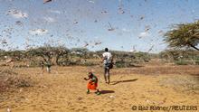 A child tries to chase away a swarm of desert locusts in Naiperere, near the town of Rumuruti, Kenya, January 30, 2021. REUTERS/Baz Ratner SEARCH RATNER LOCUSTS FOR THIS STORY. SEARCH WIDER IMAGE FOR ALL STORIES