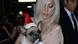 Lady Gaga Lady Gaga
