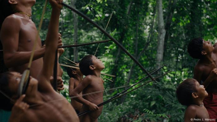 Cena do filme A Última Floresta