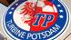 Turbine Potsdam badge Turbine Potsdam badge