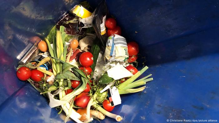 Leeks, tomatoes and other food in a trash can