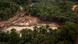 A foto mostra uma área desmatada, com muita lama e terra em meio a árvores, para a exploração de ouro na Amazônia brasileira. A foto mostra uma área desmatada, com muita lama e terra em meio a árvores, para a exploração de ouro na Amazônia brasileira.