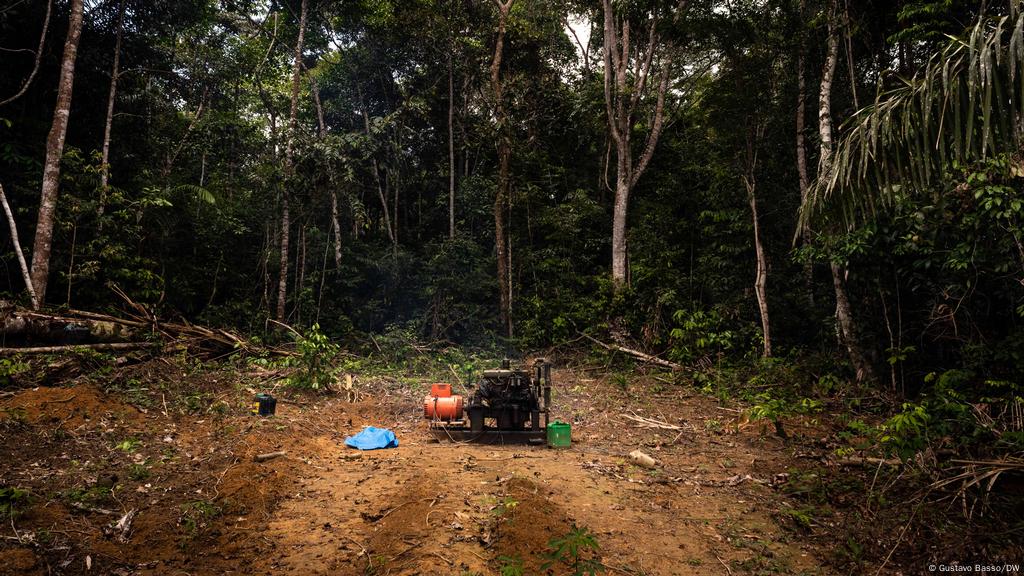 Wwf Uni Eropa Ikut Bersalah Atas Kerusakan Hutan Tropis Dunia Informasi Terkini Dari Berbagai Penjuru Dunia Dw 15 04 2021