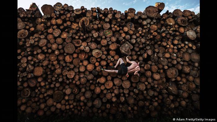Un hombre entrena en los troncos apilados en Alemania.