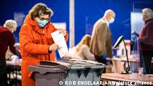Netherlands election: Dutch voters defy coronavirus fears