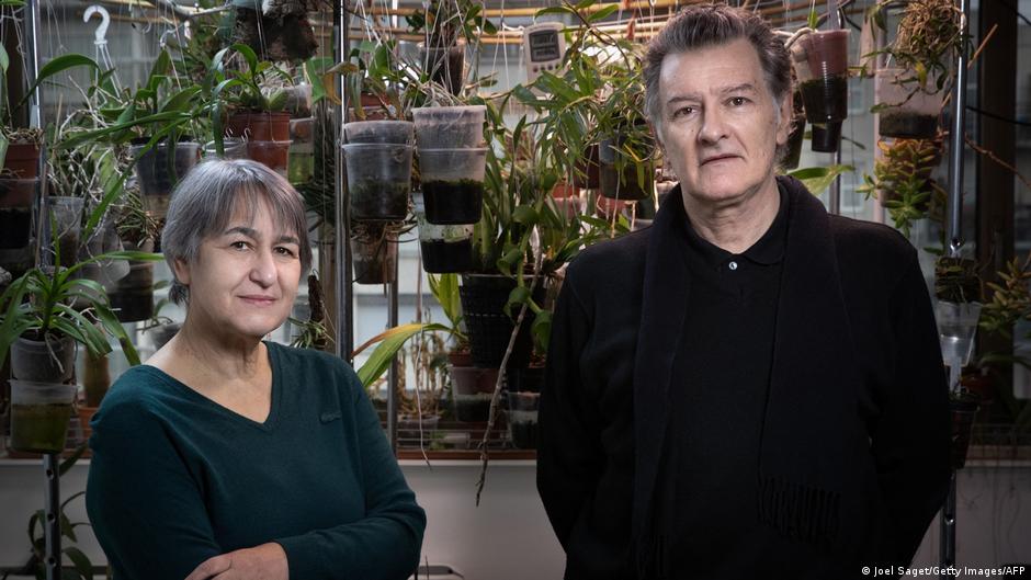 France′s Jean-Philippe Vassal and Anne Lacaton win Pritzker Architecture Prize 2021 | All media content | DW - Vimarsana News