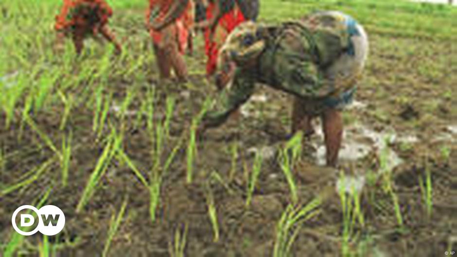 Struggle For Gender Equality In West Africa Home DW 21 09 2011   5689628 6 