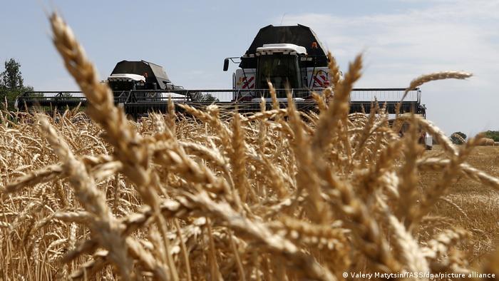 غزو روسيا لأوكرانيا يلقي بظلاله على إمدادات القمح لدول عربية 56899665_303