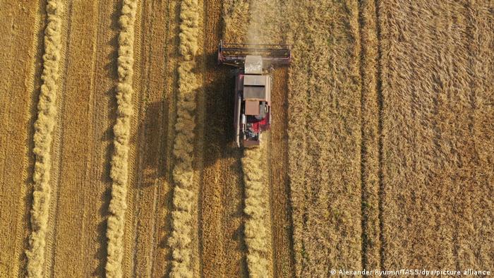 Russland Landwirtschaft Weizenernte