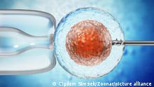 3D illustration of artificial insemination process showings sperms being injected inside the ovule. 3D illustration.