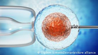 Τεχνητή γονιμοποίηση