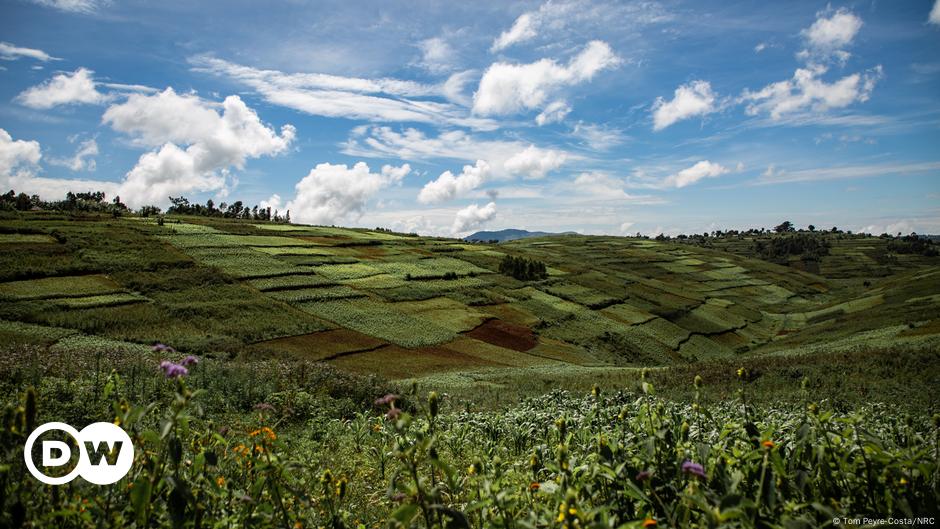 RDC : le café et le cacao visés par une suspension