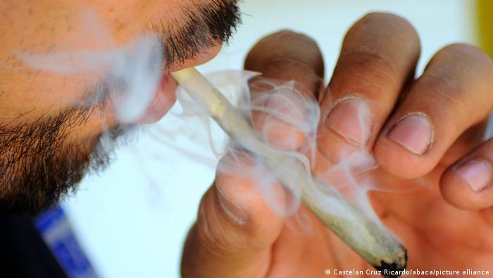 En Alemania, casi uno de cada tres adultos ha fumado marihuana al menos una vez en su vida.