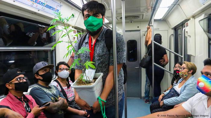 Protesting for marijuana legalization on Mexican public transport