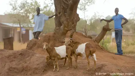 Uganda I Ansiedlungsprogramm Fluechtlinge aus dem Sued Sudan 