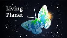Living Planet: Environment stories from around the globe