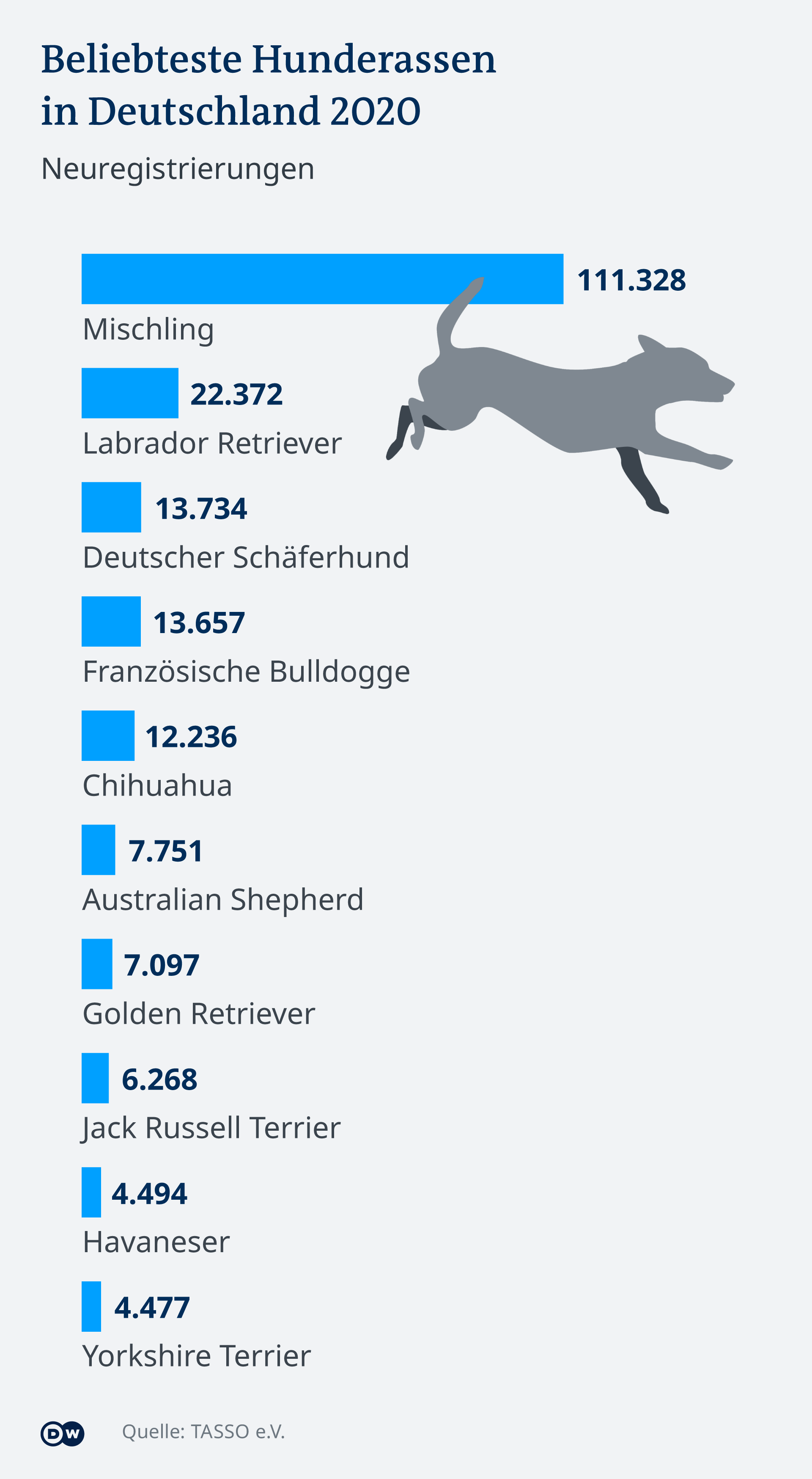Infografik beliebteste Hunderassen Deutschland DE