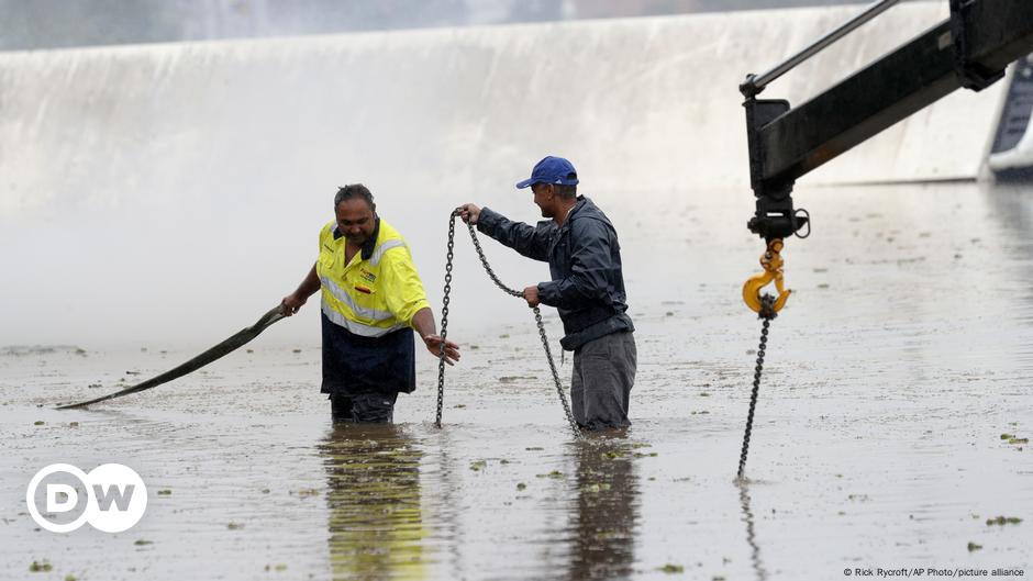 Australia begins cleanup and reconstruction after floods |  World |  D.W.