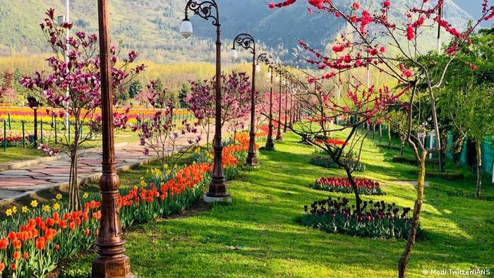 Indien Tulpen-Garten in Srinagar