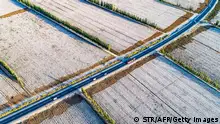 *** Dieses Bild ist fertig zugeschnitten als Social Media Snack (für Facebook, Twitter, Instagram) im Tableau zu finden: Fach „Images“ —> Xinjiang - Uighuren/Baumwollanbau *** 25.03.21 ***This photo taken on October 14, 2018 shows a view of cotton fields during harvest season in Hami in China's northwestern Xinjiang region. (Photo by STR / AFP) / China OUT (Photo credit should read STR/AFP via Getty Images)