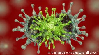 Схематическое изображение мутаций коронавируса