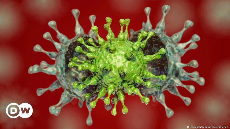 Asiens Coronavirus-Varianten als globales Problem