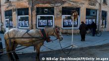 Предизборни плакати в България и кон, вързан на пътен знак
