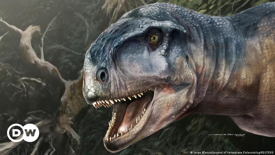 Hallan en la Patagonia nueva especie de dinosaurio carnívoro llamado 