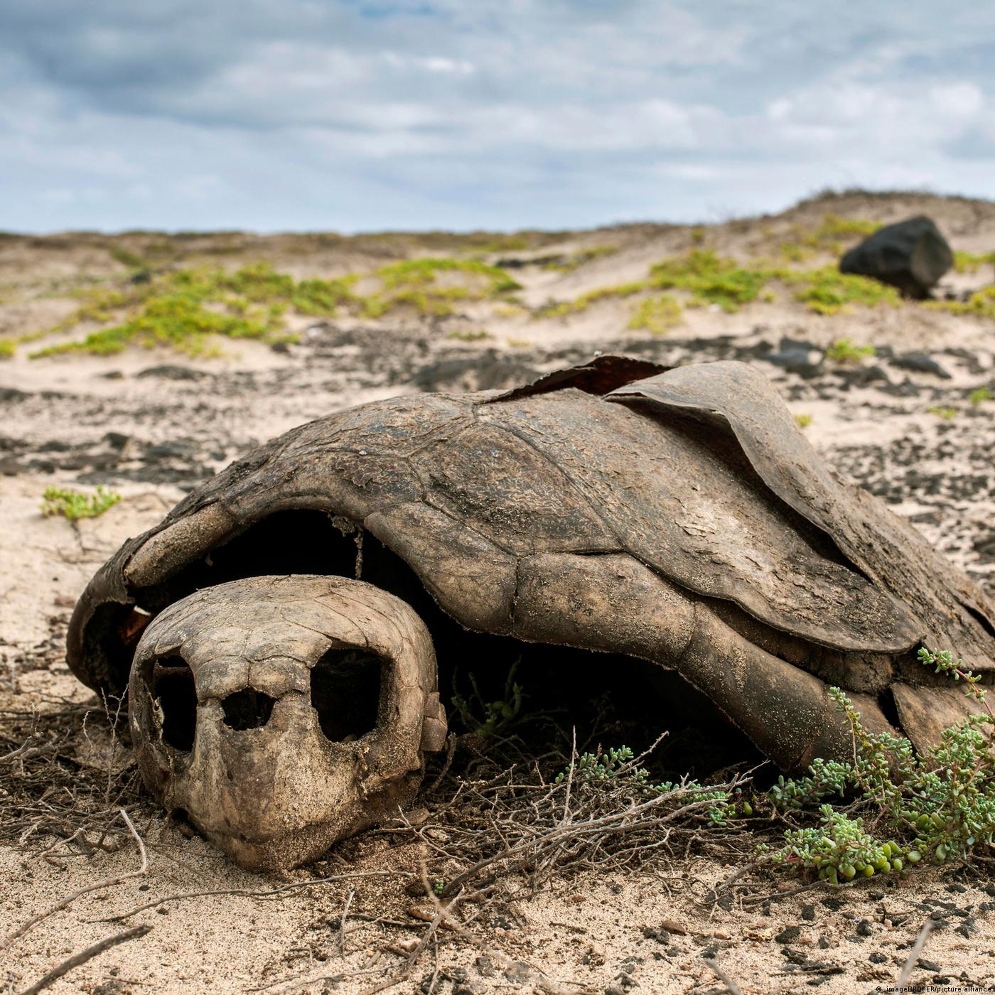 Living Planet: Now or never: The planet's biggest environmental problems — part 1