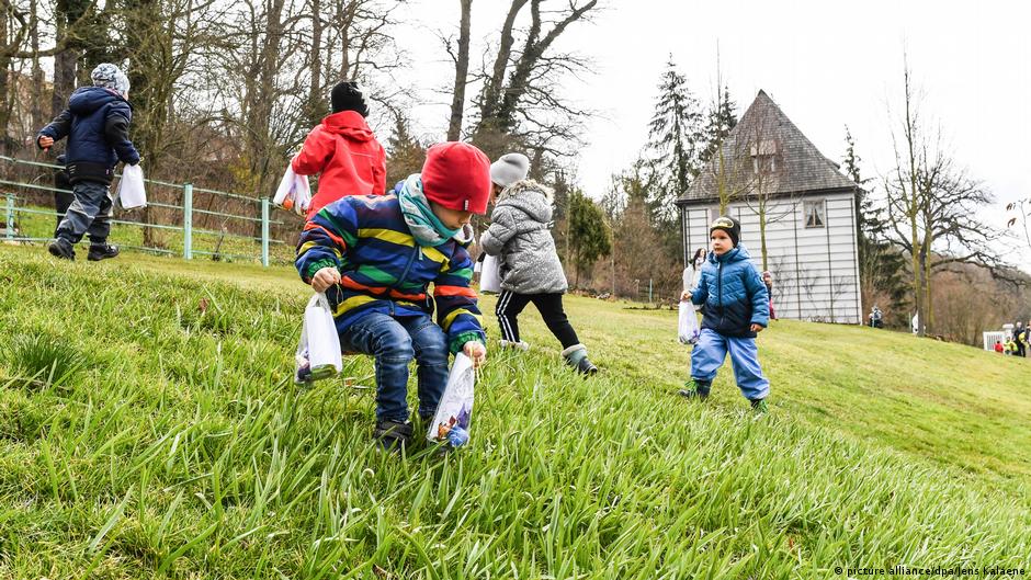 Tragiczny wypadek. Drzewo spadło na grupę ludzi