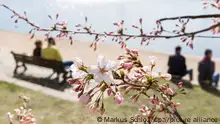 ست نصائح تساعدك في التغلب على خمول الربيع!