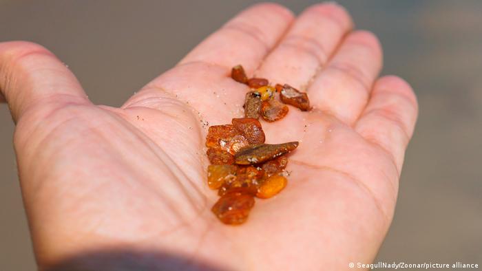 Amber fragments on the palm of a hand