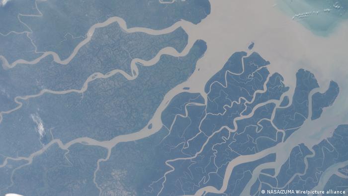 An aerial photo of the Sundarbans 