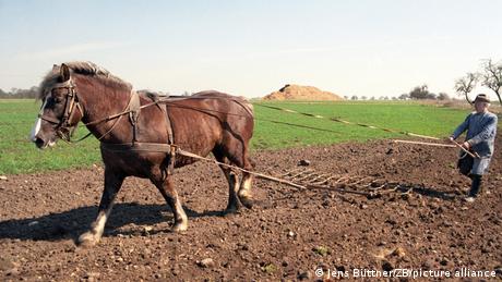 Ein Pferd ist auf einem Acker vor einen Pflug gespannt, ein Bauer hält die Zügel.