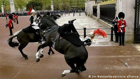 Ein Reiter der Königlichen Garde wird vor dem Buckingham Palast von seinem scheuenden Pferd abgeworfen.