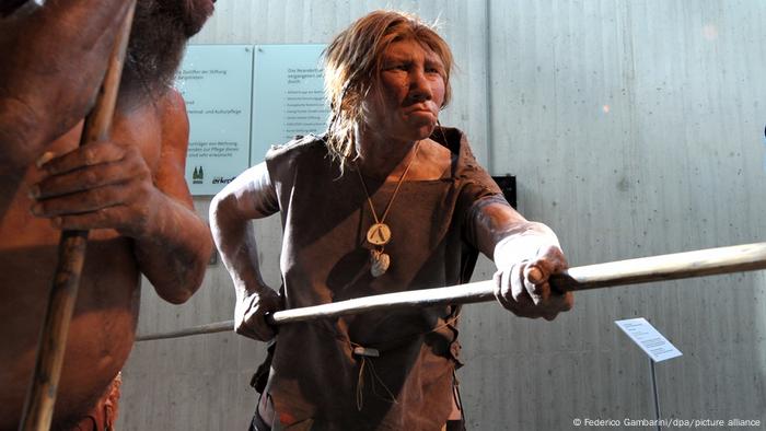 En la cultura pop, los neandertales son representados constantemente como brutos fornidos con garrote. Esta imagen se inspiró principalmente en el descubrimiento de un esqueleto en 1908, pero tenía la columna vertebral deformada y las rodillas torcidas. La definición del Oxford English Dictionary para Neanderthal incluye persona primitiva, incivilizada o grosera.