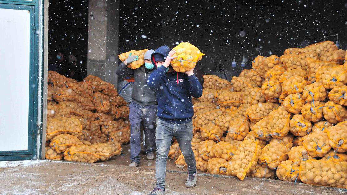 Türkei l Staat kauft von den Bauern Kartoffeln und Zwiebeln. 