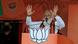 India's prime minister Narendra Modi at a rally India's prime minister Narendra Modi at a rally