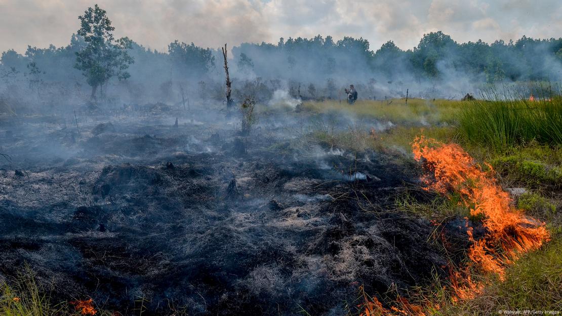 Incêndio em área de floresta 