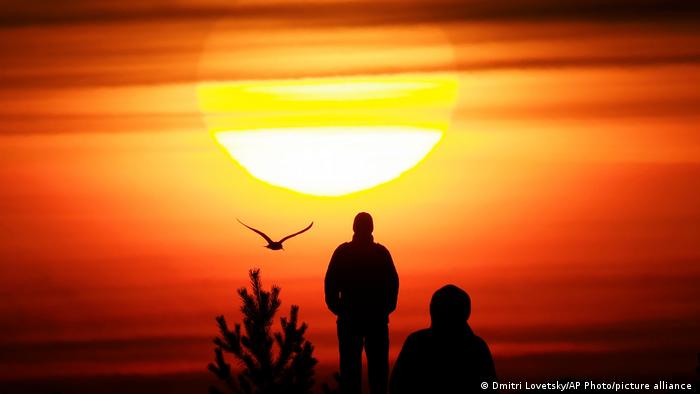 Two people looking at the sunset with a bird flying across the sky.