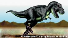 Die Illustration zeigt einen Tyrannosaurus Rex.
