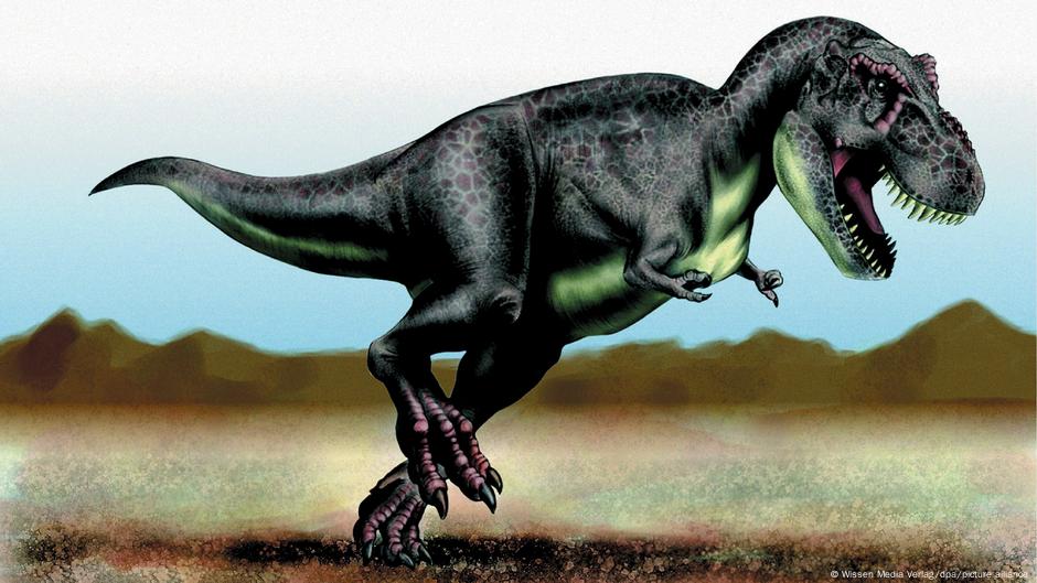 entrar equivocado Cap Cuántos Tiranosaurios Rex habitaron la Tierra? 2.500 millones, según los  expertos | Ciencia y Ecología | DW | 21.04.2021