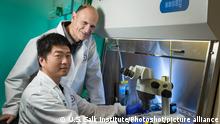 (170127) -- WASHINGTON, Jan. 27, 2017 () -- Undated photo released by U.S. Salk Institute on Jan. 26, 2017 shows Jun Wu (front) and Juan Carlos Izpisua Belmonte, investigators of the U.S. Salk Institute for Biological Studies. In a bold but potentially controversial quest for solutions for the worldwide shortage of transplant organs, scientists attempting to grow human organs inside pigs have successfully grown the first chimera embryos containing cells from both humans and pigs, they said Thursday. (/U.S. Salk Institute) (zy)